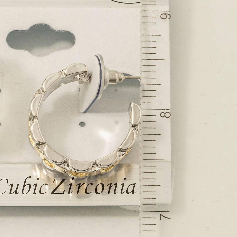 Two Tone Earrings