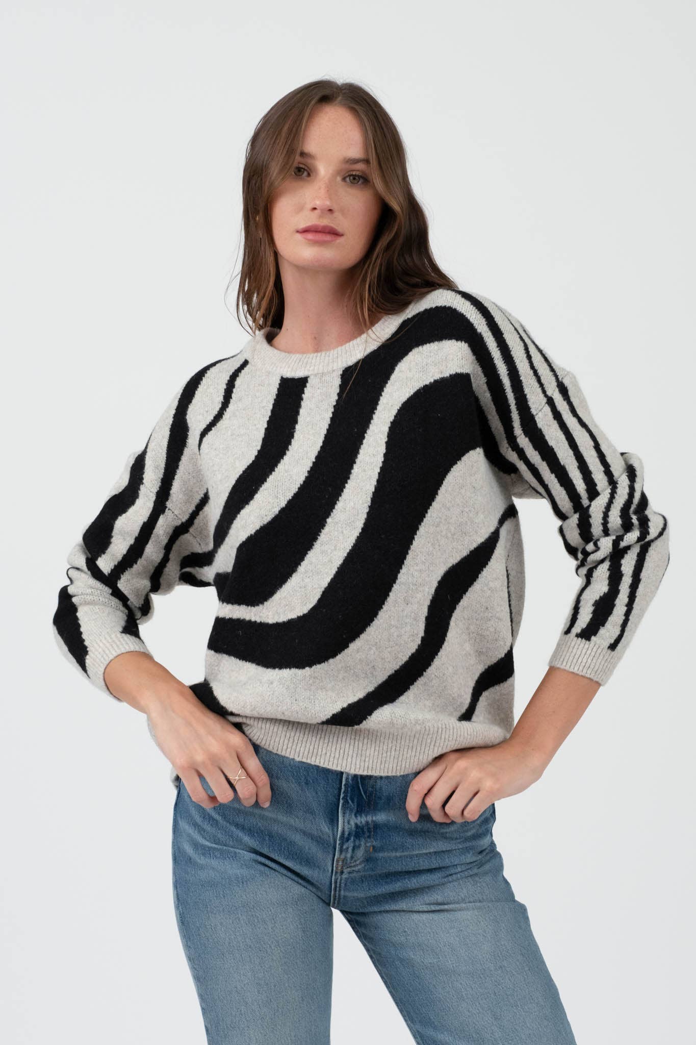 ZEBRA SWEATER